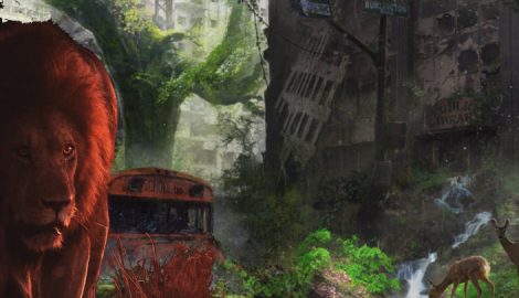 Life after the rebellion