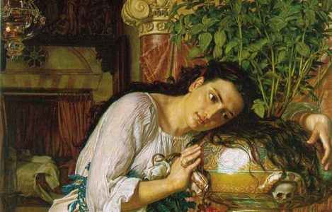 Once Upon a&nbsp;Thyme