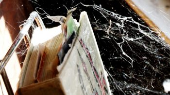 Permalink to: Shining Cobwebs
