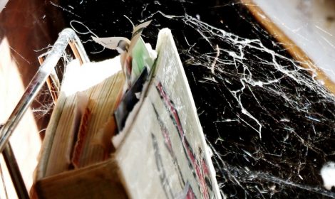 Webwise: June&nbsp;2019