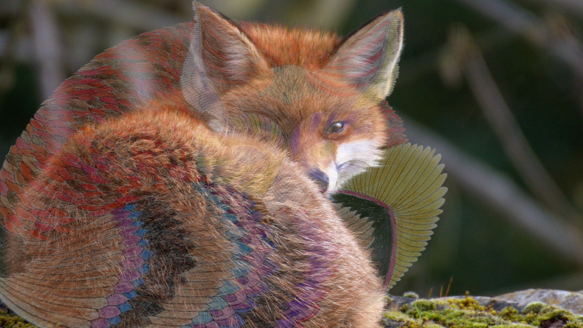 Illustration to Iuliana Todorean’s story ”The Arcande Life of a Fox" by Iasmina and Adrian Oțoiu.