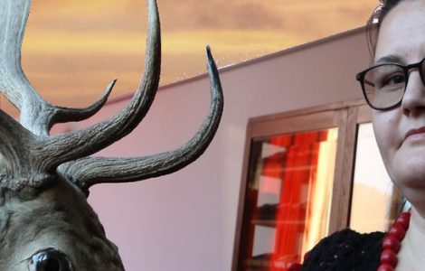 Animal Tales: True facts or myths? Fiction versus Reality