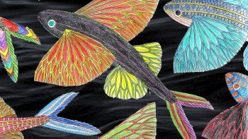 Permalink to: In the Hide of an Animal