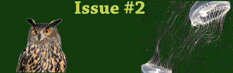 Issue_2_animals_1