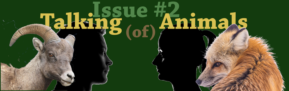 Issue_2_animals_5