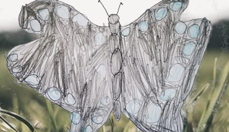 To Flutter Through Adventures